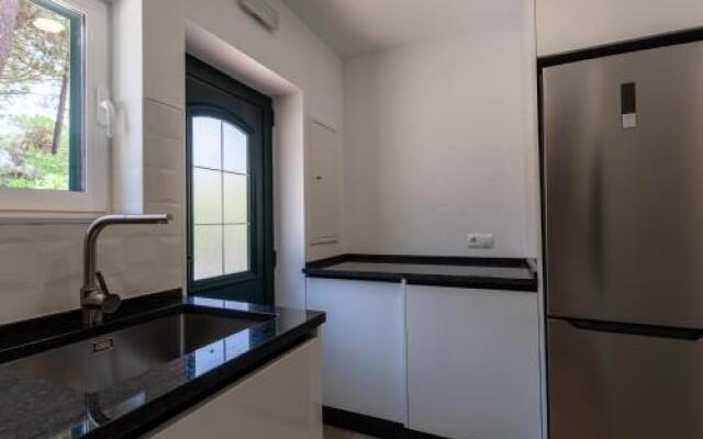 Ocean, Pines and Mountain