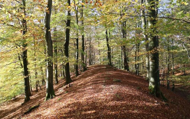 Grottbyn - Skånes Djurparks Camping