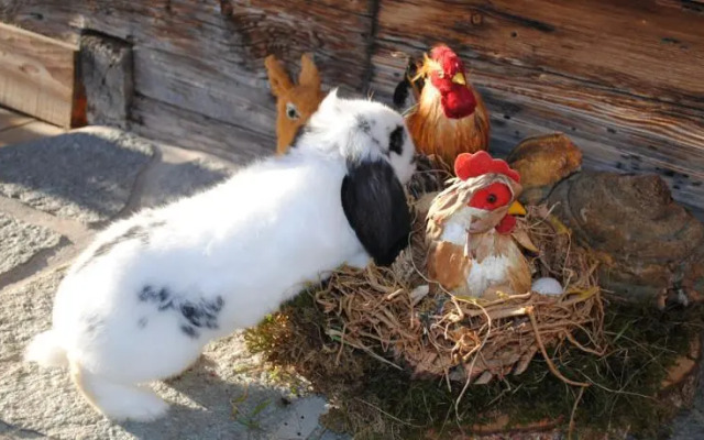 Ferienwohnung Siedler