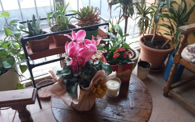 La Maison del Corso B&B