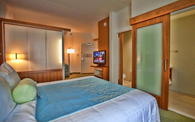 SpringHill Suites by Marriott-Houston/Rosenberg