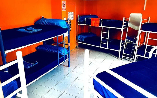 Larios Cool Hostel