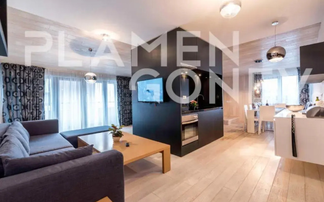 Altitude Mountain Apartments Aspen