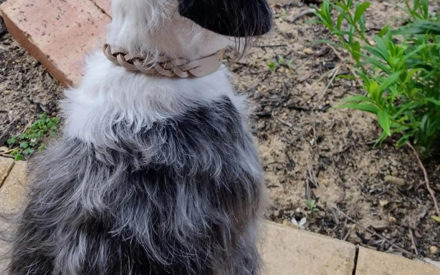 Yanchep Seaside Cottage