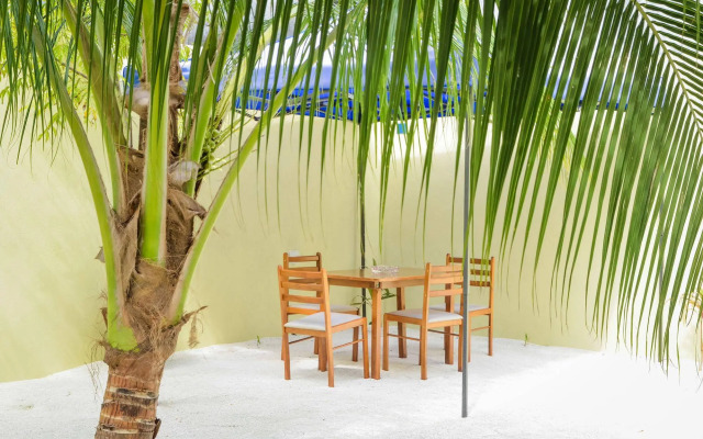 Whale Shark Inn Maldives