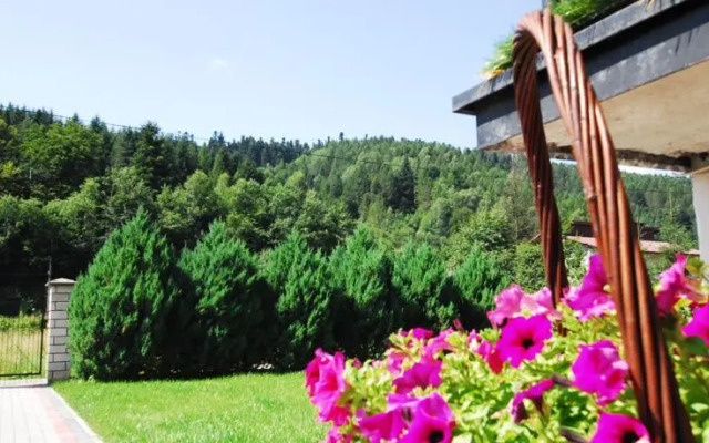 Kosciuszko Apartment