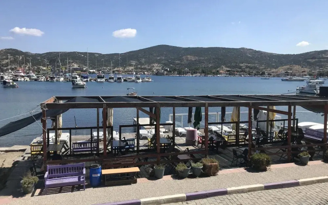 Vertigo Foca