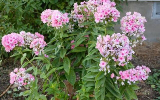 8635 Ustick Road Apartment