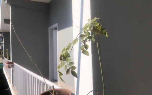 Outdoor Adventures Resort