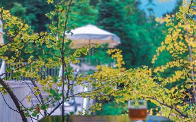 Qingcheng Mountain·Mountain Zhumufeng Designer Resort Hotel
