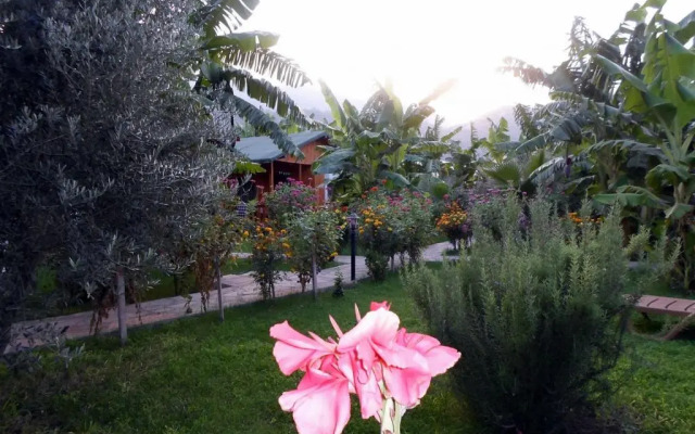 Estelar Bungalows