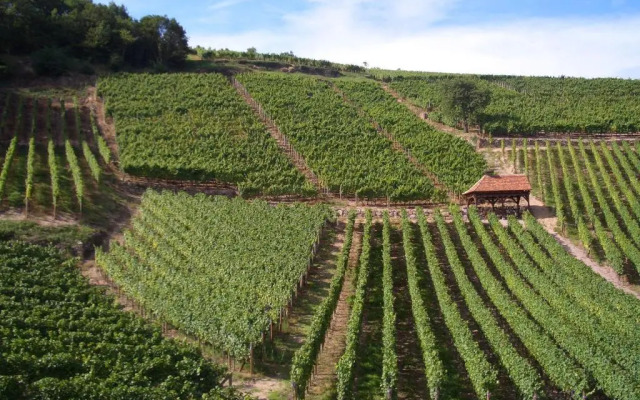 Chambres D'hotes Ruhlmann