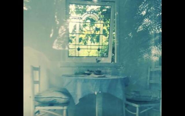 Follow The White Wabbit