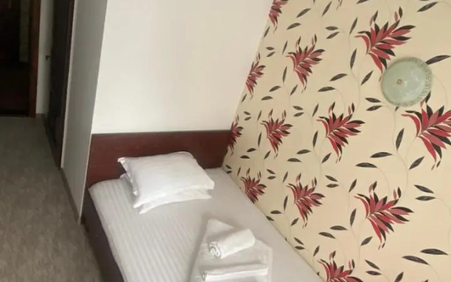 Pension La Viorel