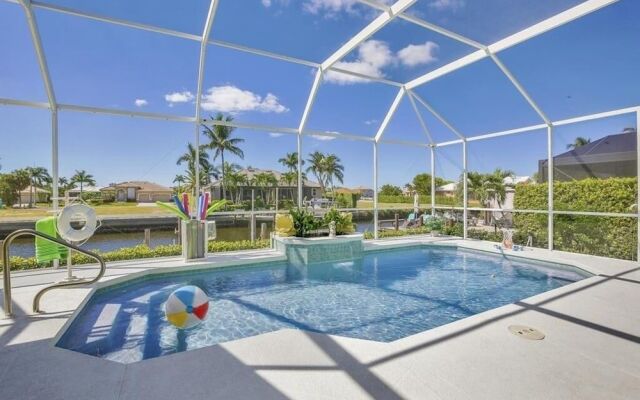 Bald Eagle Home #62266