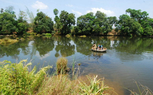 Dubare Elephant Camp
