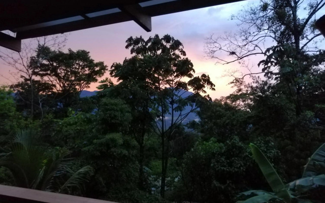 Aves De Tierras Altas