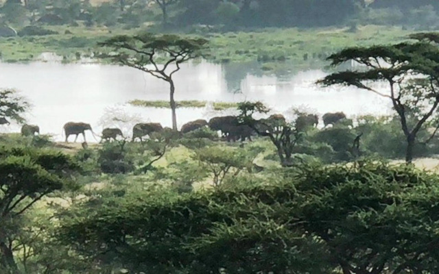 Seronera Wildlife Lodge
