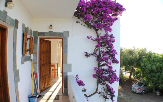 Nikolas House