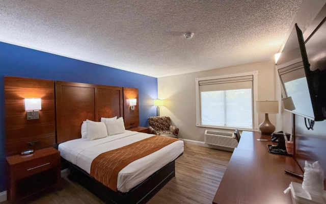 Comfort Inn & Suites St. Louis - Hazelwood