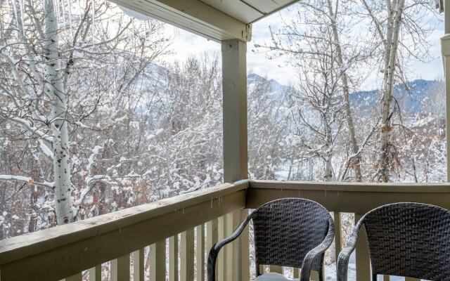 Cottonwood 1405 - Studio Condo