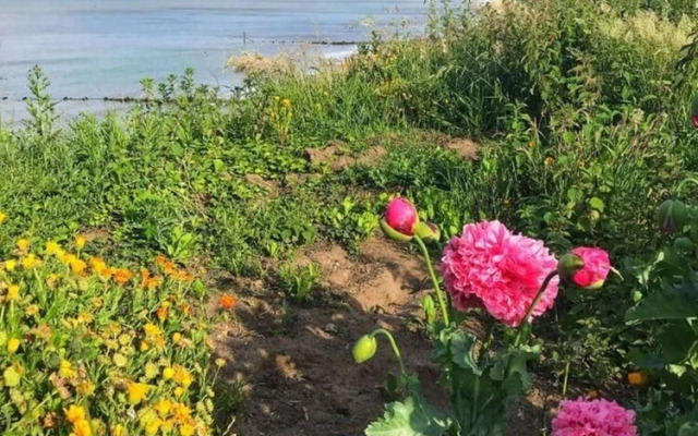 Mundesley Beach Chalet With Stunning sea Views