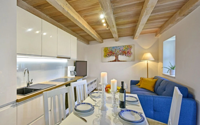 Hibiskus Tadini in Tadini