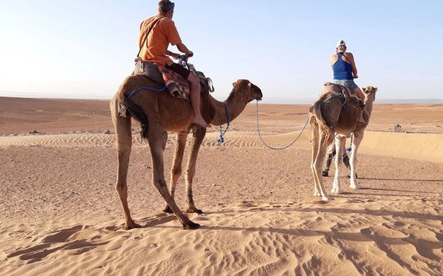 Sahara Peace camp