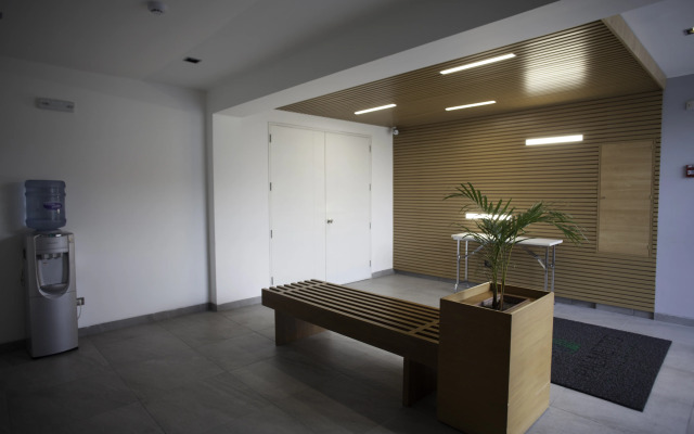 Palmetto Hotel Business San Miguel