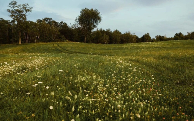 Tentrr - Private Peaceful Farm Venture
