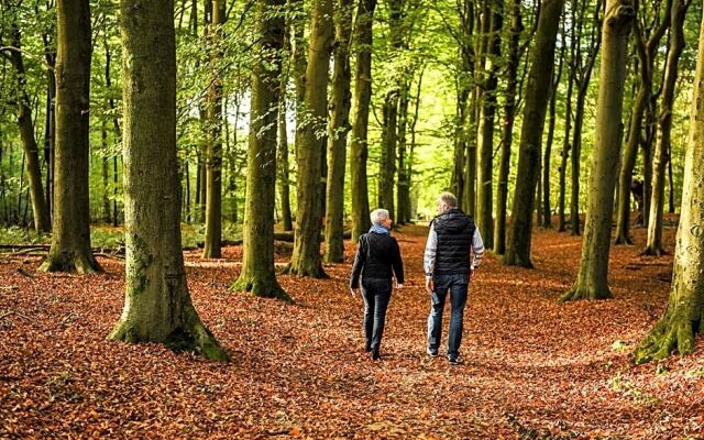 B & B Wellness voor 2
