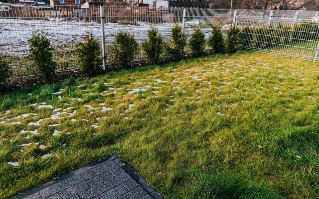 Elite Apartments City Center Suites