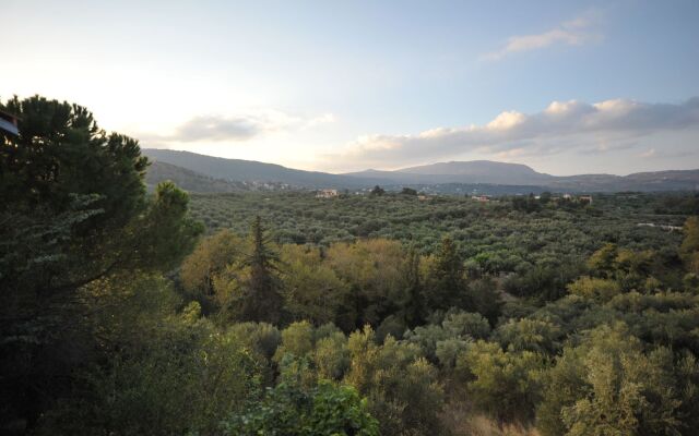 The architect's house