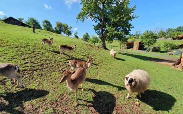 Garni Hotel Biebertal am Milseburgradweg