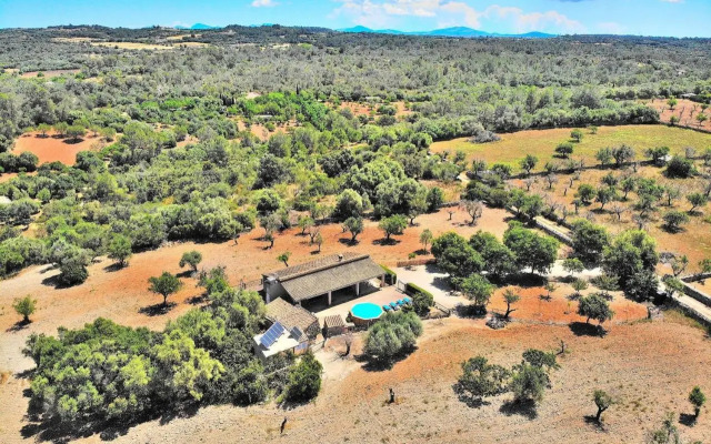 Son Rossignol finca Llubi 193