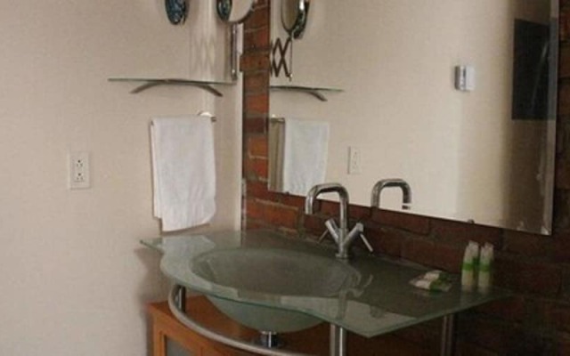 Apartment & Studio