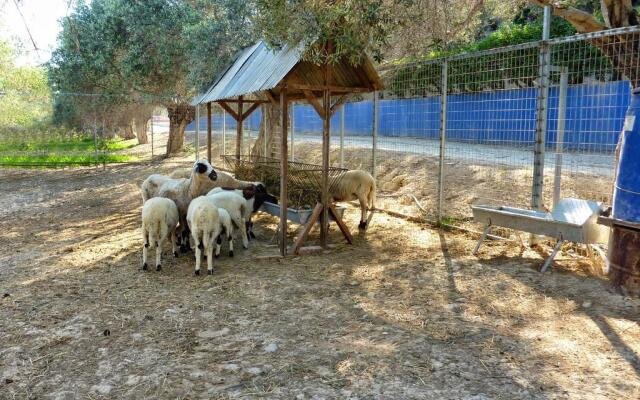 Hadjios Valley