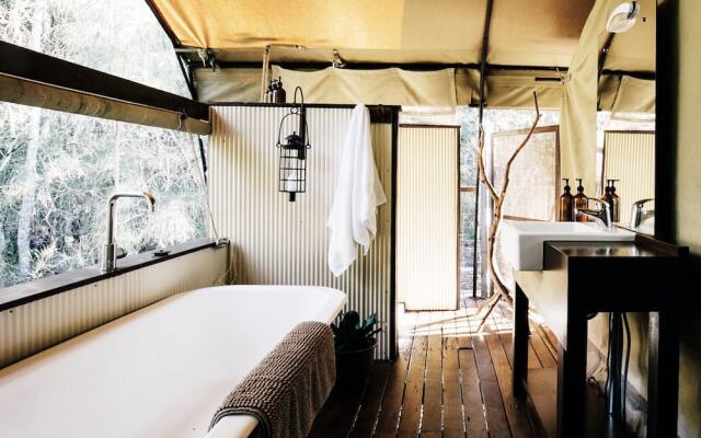 Paperbark Camp