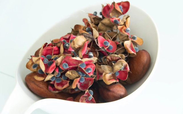 Kaz O'Rocher - Sea View Appartements