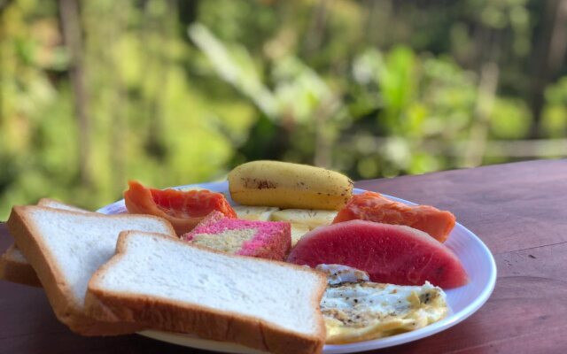 Hi Lanka Backpackers - Adults Only