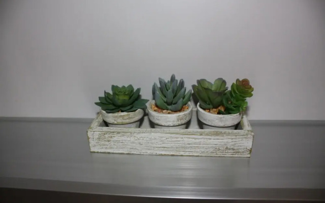 LEE Atsubetsuchuo 505