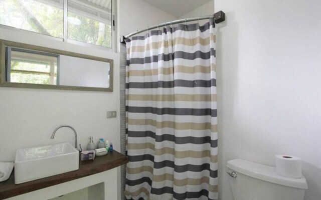 Relaxing Sound of River Birds Squirrels