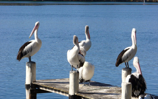 Huskisson Beach Motel