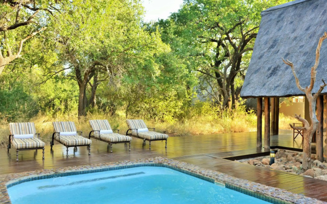 Black Rhino Game Lodge