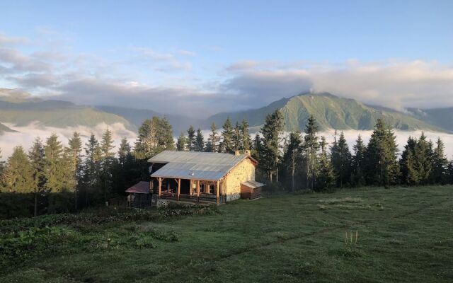 Tanevit Dag Evi