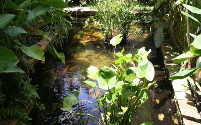 Caza V1 Serviced Apartment