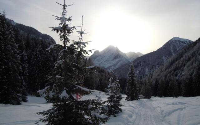 Vernel - nice two room apartment - 022039-AT-011602-108 VERNEL