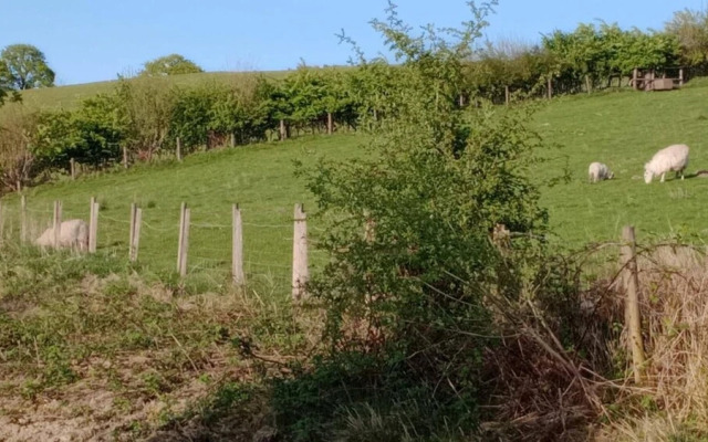 Llandovery - Cabin - Sleeps 2 - Parking - Garden