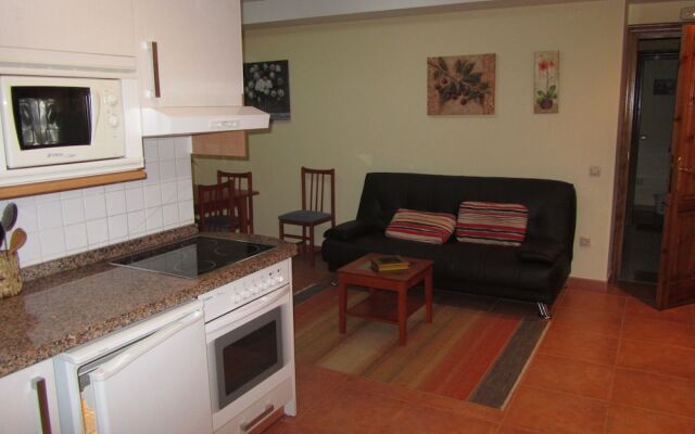 Apartamentos la Higar