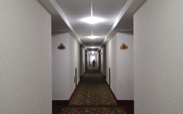 Hotel Sicomoro